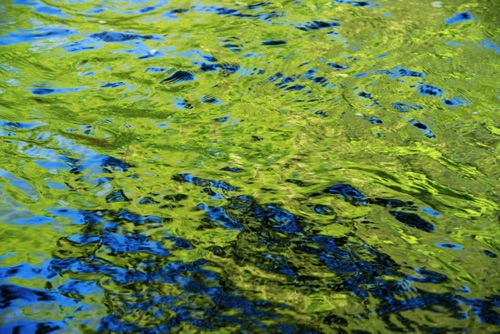 Passaic River, Union and Morris Counties, 04 10 (1795SA).jpg Passaic River, Union and Morris Counties, 04 10 (1795SA).jpg